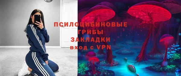 ГАЛЛЮЦИНОГЕННЫЕ ГРИБЫ Карпинск
