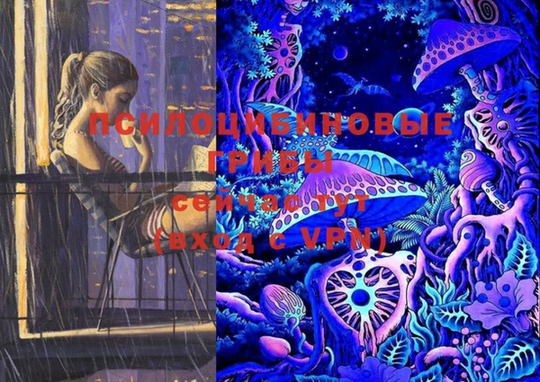 индика Карталы