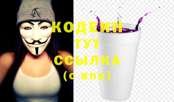 индика Карталы
