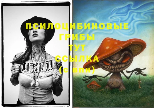 скорость Касимов