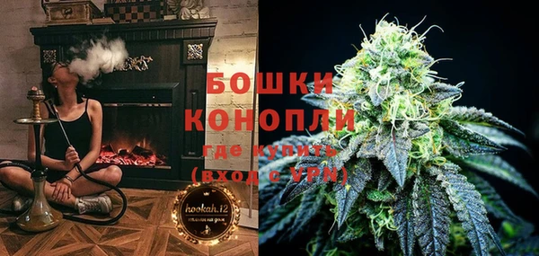 индика Карталы