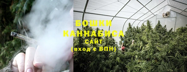 ГАЛЛЮЦИНОГЕННЫЕ ГРИБЫ Карпинск