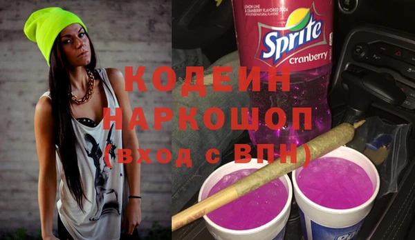 индика Карталы