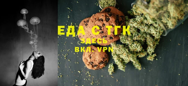 индика Карталы