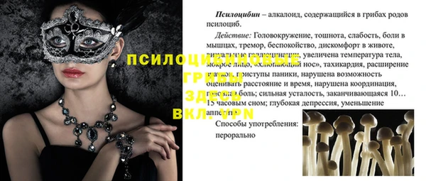 скорость Касимов