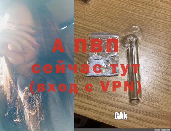 ГАЛЛЮЦИНОГЕННЫЕ ГРИБЫ Карпинск