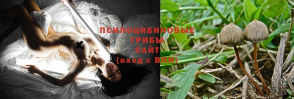 скорость Касимов