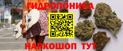 стаф Кимры