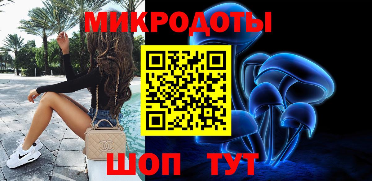 Галлюциногенные грибы Psilocybe Крымск