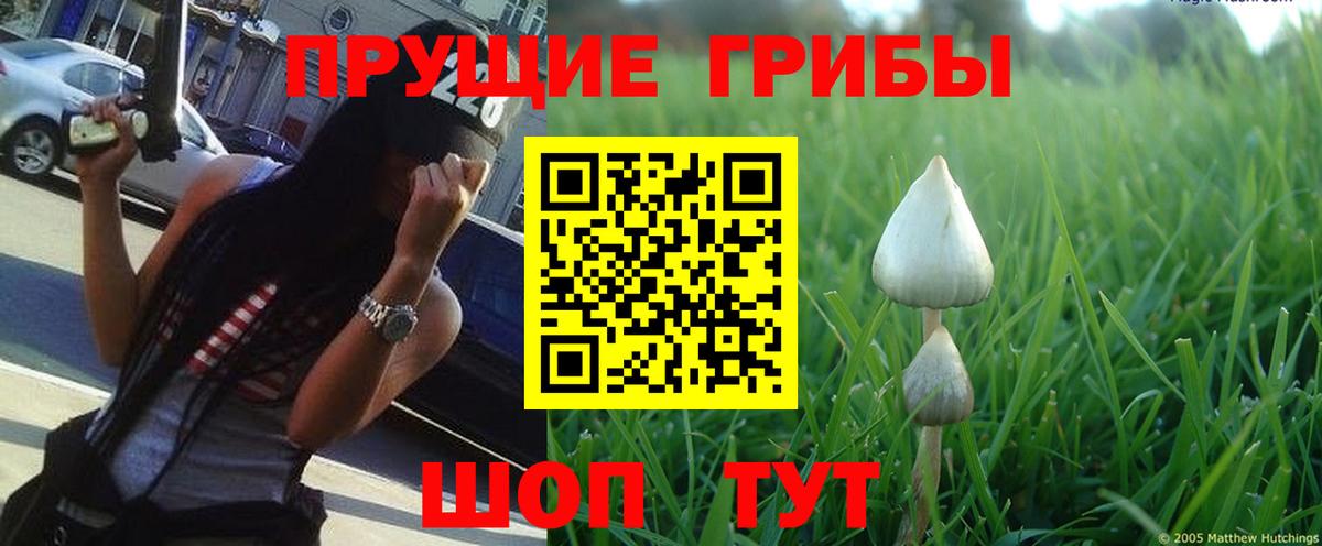 Псилоцибиновые грибы ЛСД  Галлюциногенные грибы Cubensis  Крымск  Вход с VPN 