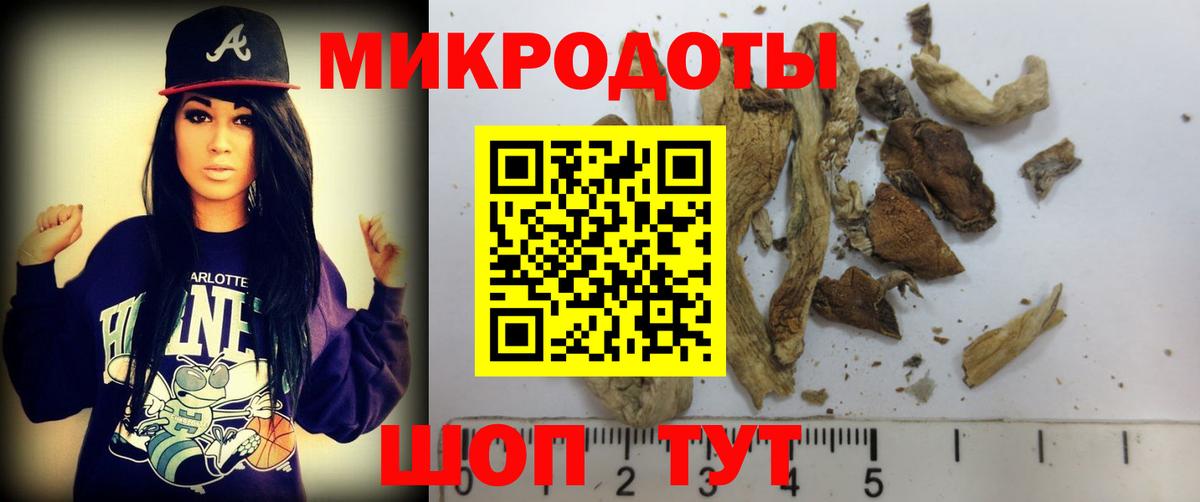 Псилоцибиновые грибы GOLDEN TEACHER Крымск